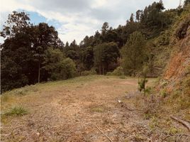  Land for sale in Marinilla, Antioquia, Marinilla