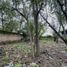  Terreno (Parcela) en venta en Tala, Jalisco, Tala