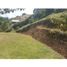  Terreno (Parcela) en venta en Penol, Antioquia, Penol