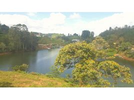  Terreno (Parcela) en venta en Penol, Antioquia, Penol