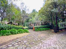 3 Habitación Casa en venta en Magdalena Contreras, Ciudad de México, Magdalena Contreras