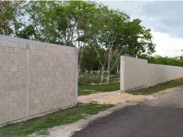  Grundstück zu verkaufen in Merida, Yucatan, Merida, Yucatan
