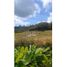  Land for sale in Rionegro, Antioquia, Rionegro