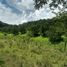  Land for sale in Caldas, Manizales, Caldas