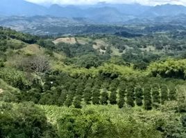  Terreno (Parcela) en venta en Manizales, Caldas, Manizales