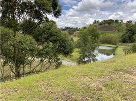  Terreno (Parcela) en venta en El Carmen De Viboral, Antioquia, El Carmen De Viboral