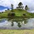  Terreno (Parcela) en venta en El Carmen De Viboral, Antioquia, El Carmen De Viboral