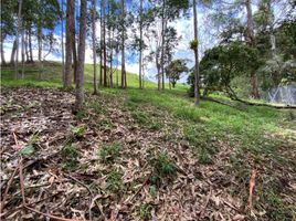  Terreno (Parcela) en venta en El Carmen De Viboral, Antioquia, El Carmen De Viboral