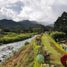  Terrain for sale in Los Naranjos, Boquete, Los Naranjos