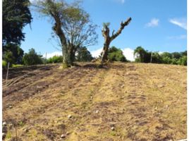  Grundstück zu verkaufen in Boquete, Chiriqui, Los Naranjos