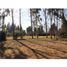  Land for sale in Maipu, Mendoza, Maipu