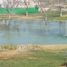  Land for sale in Parras, Coahuila, Parras