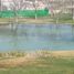  Land for sale in Parras, Coahuila, Parras