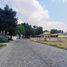  Land for sale in Zapopan, Jalisco, Zapopan, Jalisco