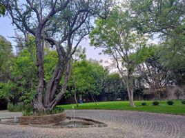  Land for sale in Zapopan, Jalisco, Zapopan, Jalisco