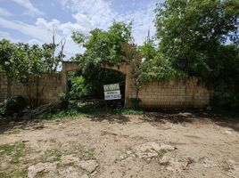  Grundstück zu verkaufen in Tixpehual, Yucatan, Tixpehual
