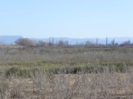  Terrain for sale in Mendoza, San Rafael, Mendoza