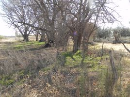  Grundstück zu verkaufen in San Rafael, Mendoza, San Rafael