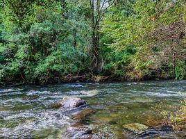  Terreno (Parcela) en venta en Puerto Varas, Llanquihue, Puerto Varas