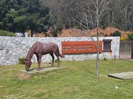  Terreno (Parcela) en venta en Santa Juana, Concepción, Santa Juana