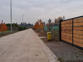  Terreno (Parcela) en venta en Chacabuco, Santiago, Colina, Chacabuco