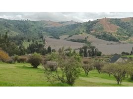  Land for sale in Melipilla, Santiago, Melipilla, Melipilla