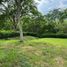  Land for sale in Caldas, Manizales, Caldas