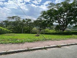  Land for sale in Caldas, Manizales, Caldas