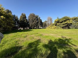  Land for sale in Valparaiso, Puchuncavi, Valparaiso, Valparaiso