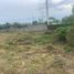  Terreno (Parcela) en venta en Compostela, Nayarit, Compostela
