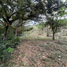  Land for sale in San Jeronimo, Antioquia, San Jeronimo