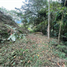  Land for sale in San Jeronimo, Antioquia, San Jeronimo