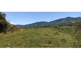  Land for sale in Penol, Antioquia, Penol