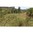  Land for sale in Penol, Antioquia, Penol