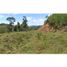  Land for sale in Penol, Antioquia, Penol