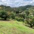  Land for sale in Penol, Antioquia, Penol