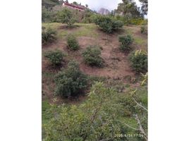  Land for sale in Penol, Antioquia, Penol