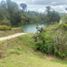  Land for sale in Penol, Antioquia, Penol