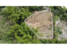  Terrain for sale in Montenegro, Quindio, Montenegro