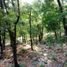  Grundstück zu verkaufen in Santiago, Nuevo Leon, Santiago, Nuevo Leon