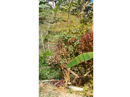 토지을(를) Dosquebradas, 리사 랄다에서 판매합니다., Dosquebradas