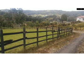  Land for sale in Guarne, Antioquia, Guarne