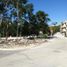  Grundstück zu verkaufen in Cozumel, Quintana Roo, Cozumel