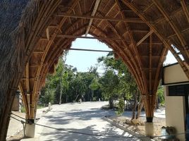  Grundstück zu verkaufen in Cozumel, Quintana Roo, Cozumel