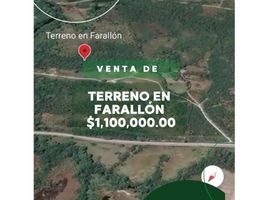  Terreno (Parcela) en venta en Río Hato, Antón, Río Hato