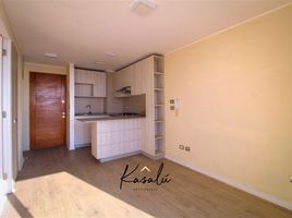 1 Bedroom Condo for rent in Chile, Santiago, Santiago, Santiago, Chile