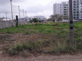  Land for sale in Monteria, Cordoba, Monteria