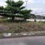  Land for sale in Monteria, Cordoba, Monteria