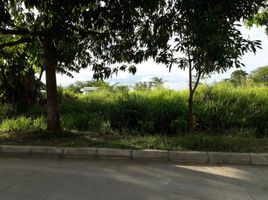  Land for sale in Monteria, Cordoba, Monteria