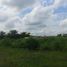  Land for sale in Monteria, Cordoba, Monteria